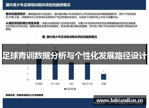 足球青训数据分析与个性化发展路径设计